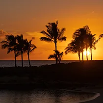 Beach sunset