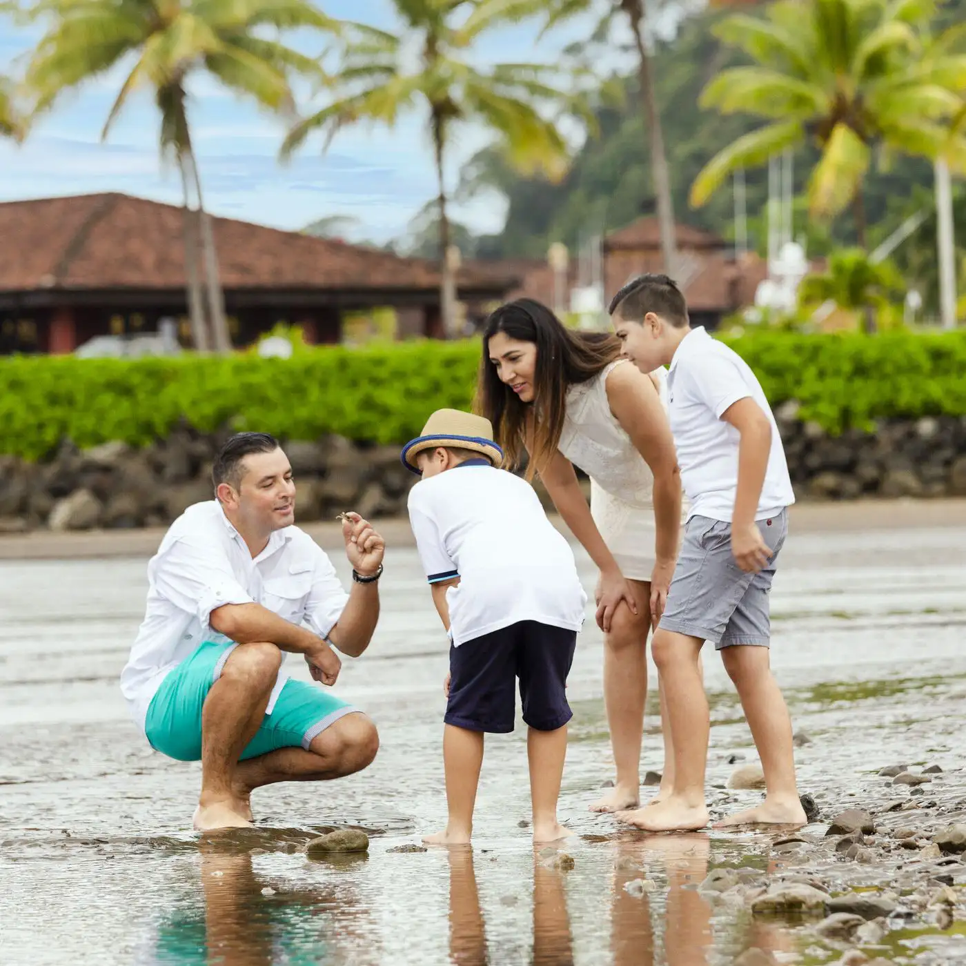 Family looking at shells in tidal pool