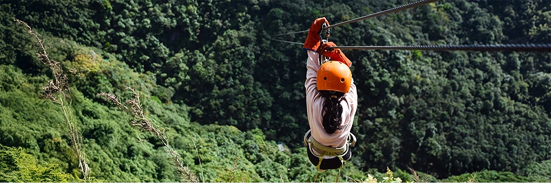 Vacation More with Special Offers